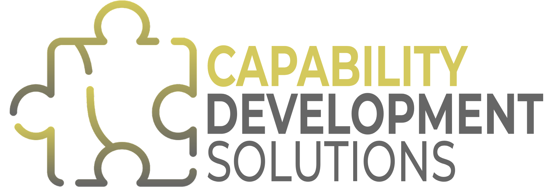 Capability Development Solutions